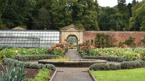 A garden path lined with flower borders leading to a green house
